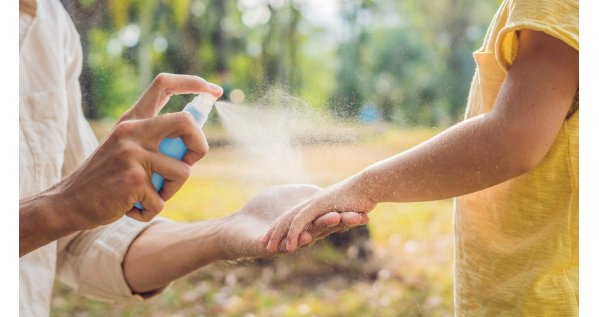 Zanzare addio: scopri le soluzioni più efficaci per l’estate