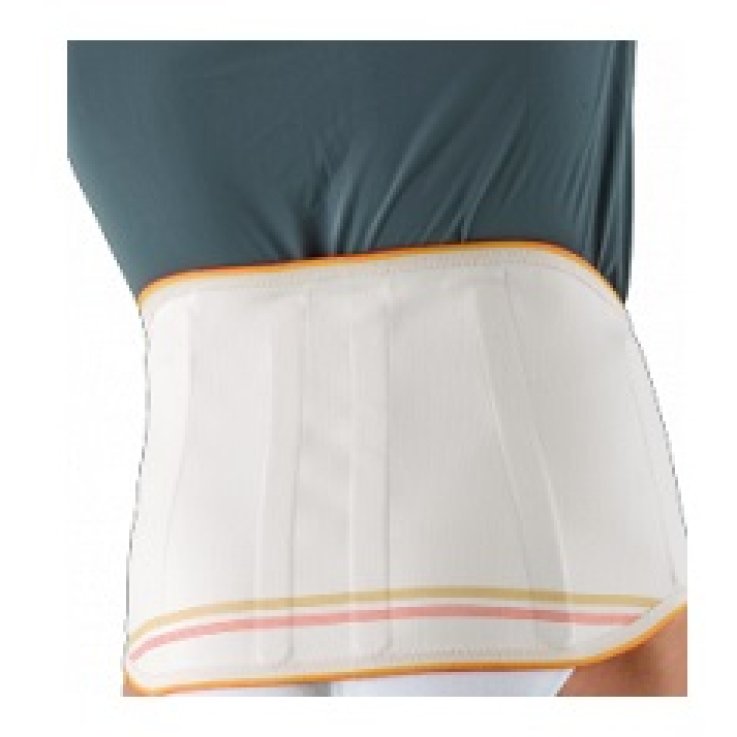 GIBAUD ORTHO*CINT LOMB STECC 5 GIBAUD ORTHO*CINT LOMB STECC 5