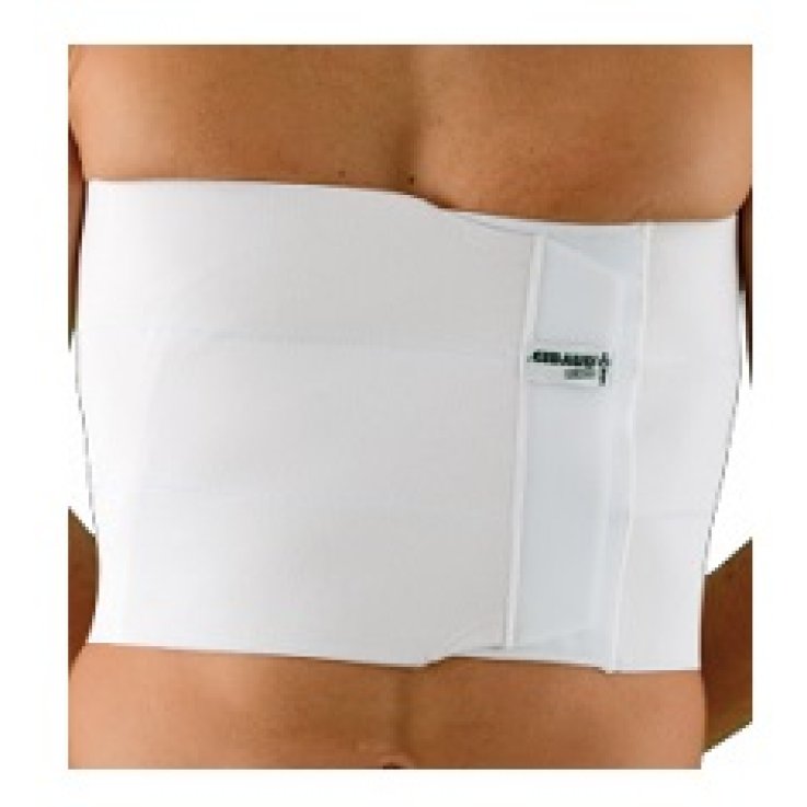 GIBAUD ORTHO*CINT TOR 3BANDE 1 GIBAUD ORTHO*CINT TOR 3BANDE 1