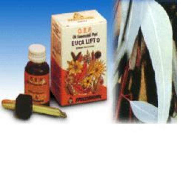 Eucalipto Olio Essenziale 10ml