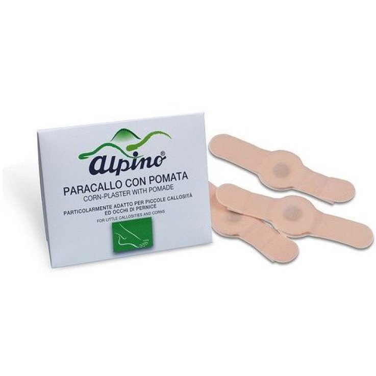 Alpino Cerotto Paracalli C/pom