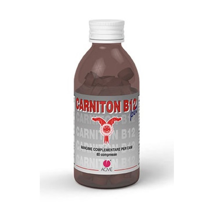 Carniton B 12 80cpr
