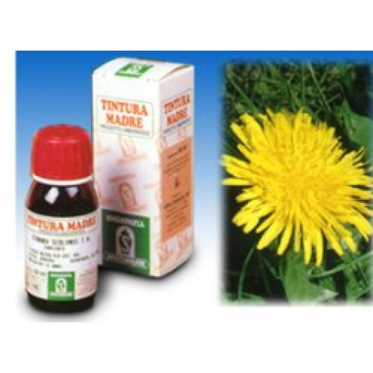 Tarassaco 28 50ml Tm