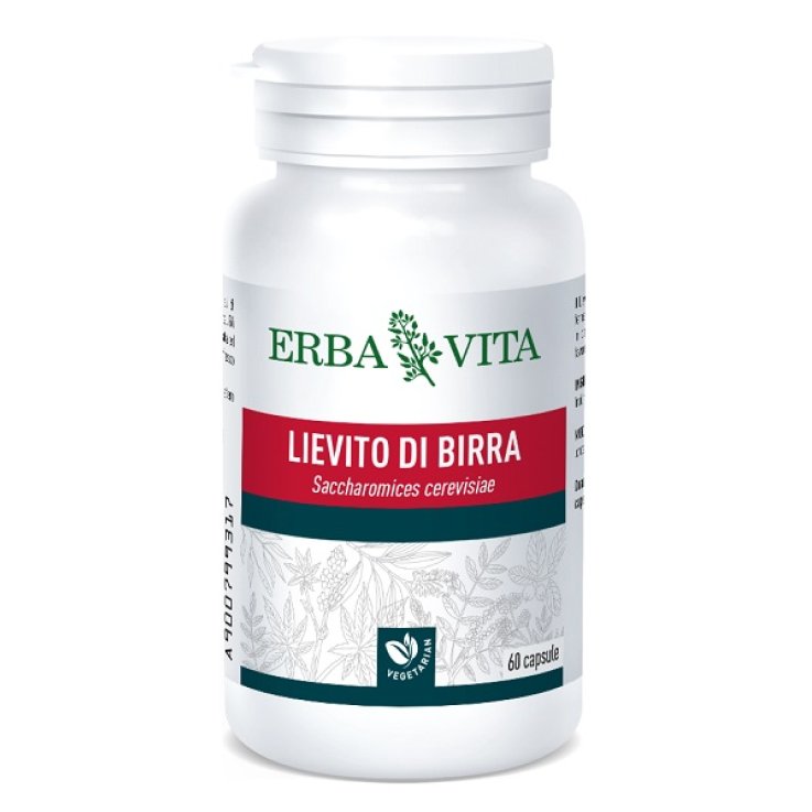 Lievito Birra 60cps