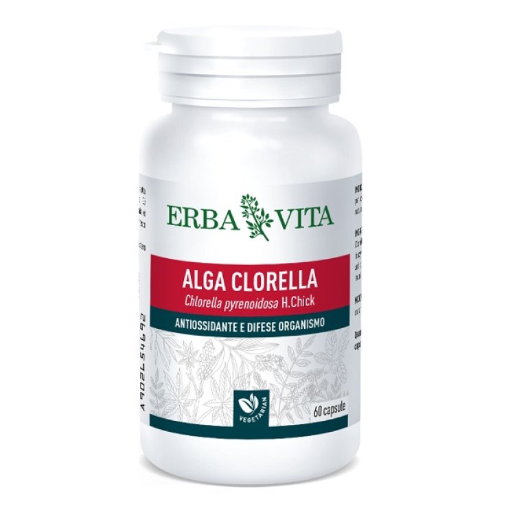 ALGA CLORELLA 60CPS