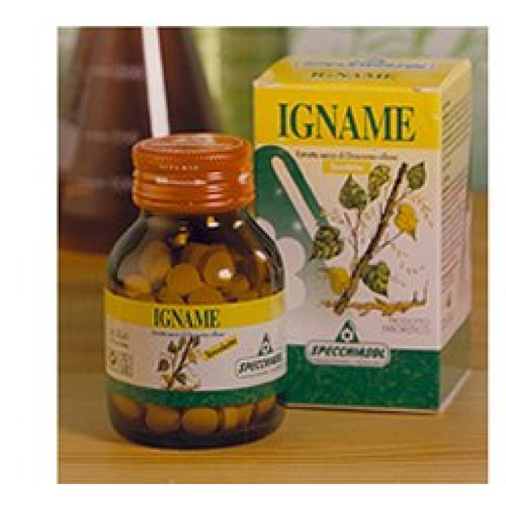 Igname Erbe 60tav