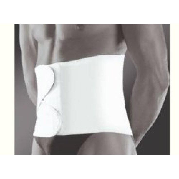 WELLNESS 675 FASC ADDO30 BI M