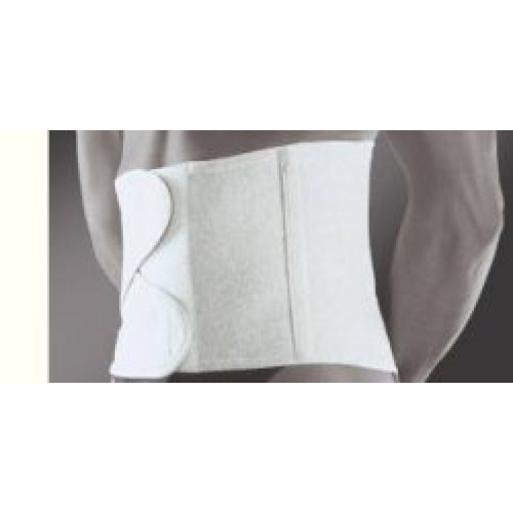 WELLNESS 545 CINT LOM TIR CR65