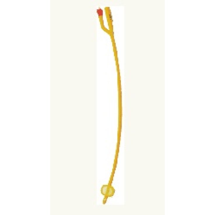FOLEY CATET LATT CH14X1 FOLEY CATET LATT CH14X1