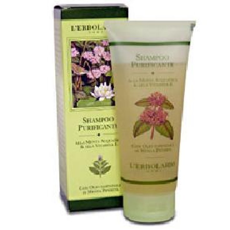 Shampoo Purificante Menta/vit Shampoo Purificante Menta/vit