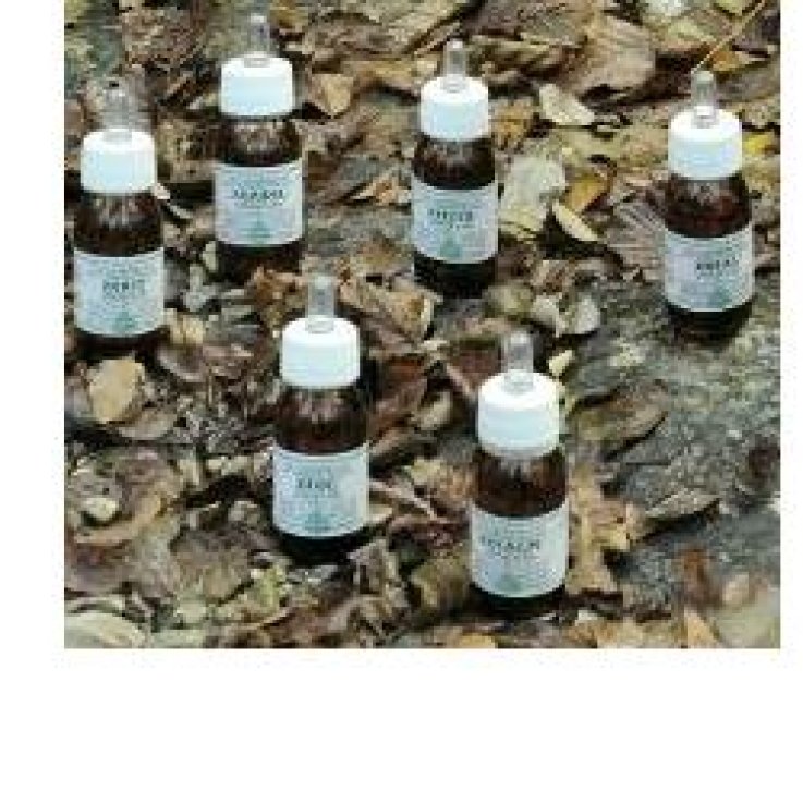 ZESAL OLIO MASS 50ML