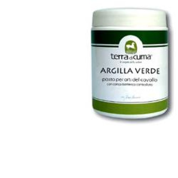 ARGILLA VERDE EQUINI PASTA 4KG ARGILLA VERDE EQUINI PASTA 4KG