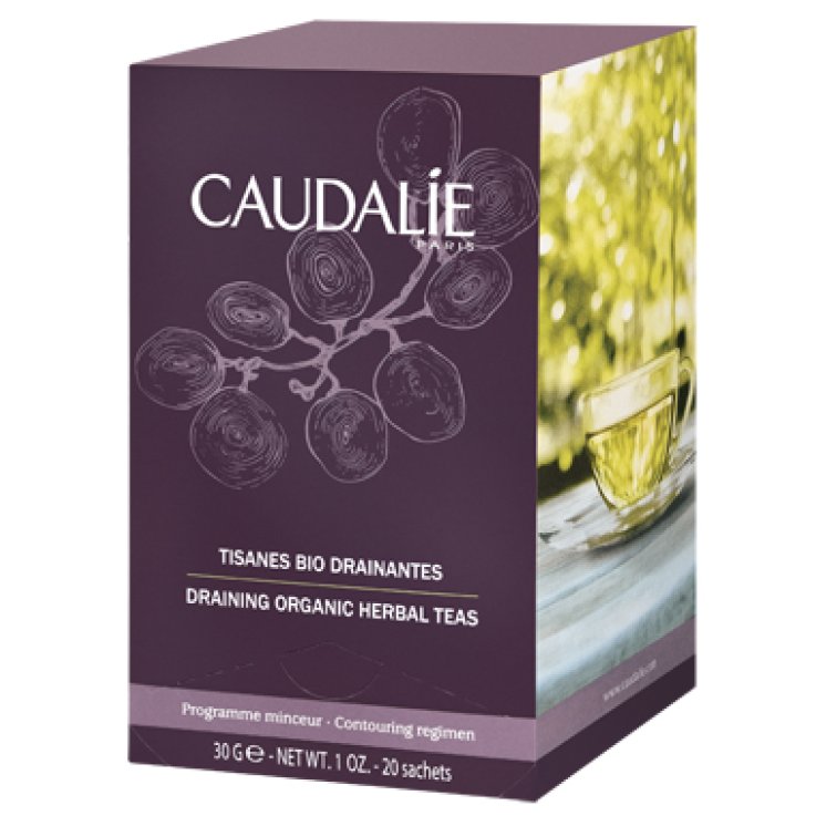 TISANE BIO-DRENANTI 30G