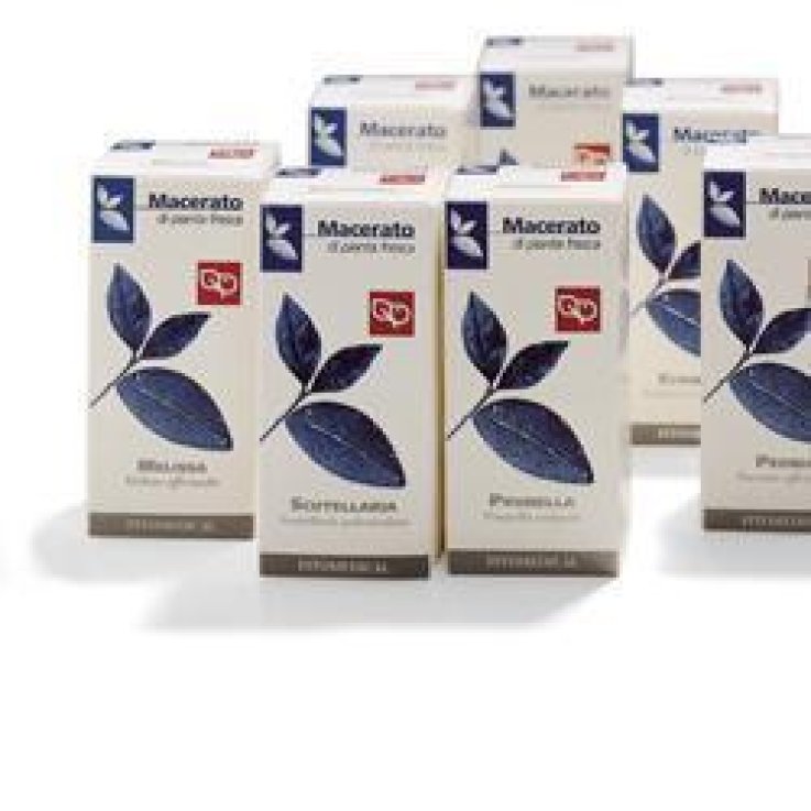 VERBENA TM 50ML