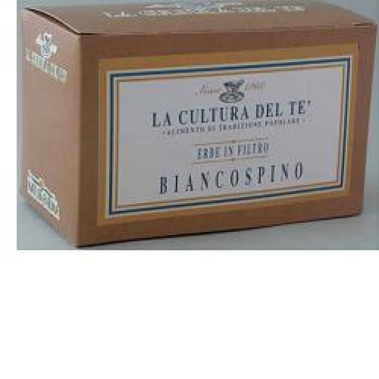 Biancospino Tisana 20filt