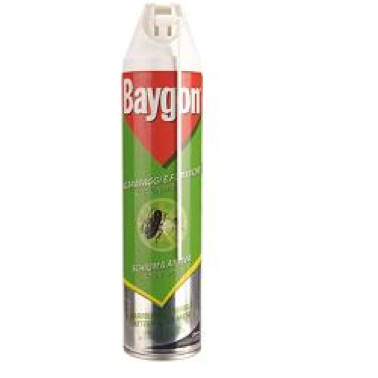 Baygon Scarafaggi/formiche Pol