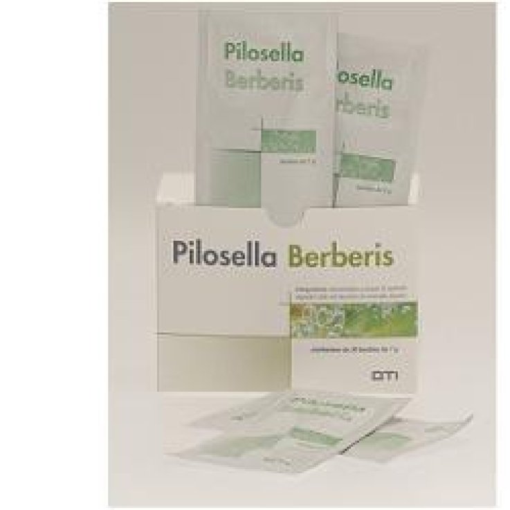 Pilosella Berberis 30bust