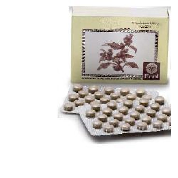 Cimicifuga 50tav 500mg