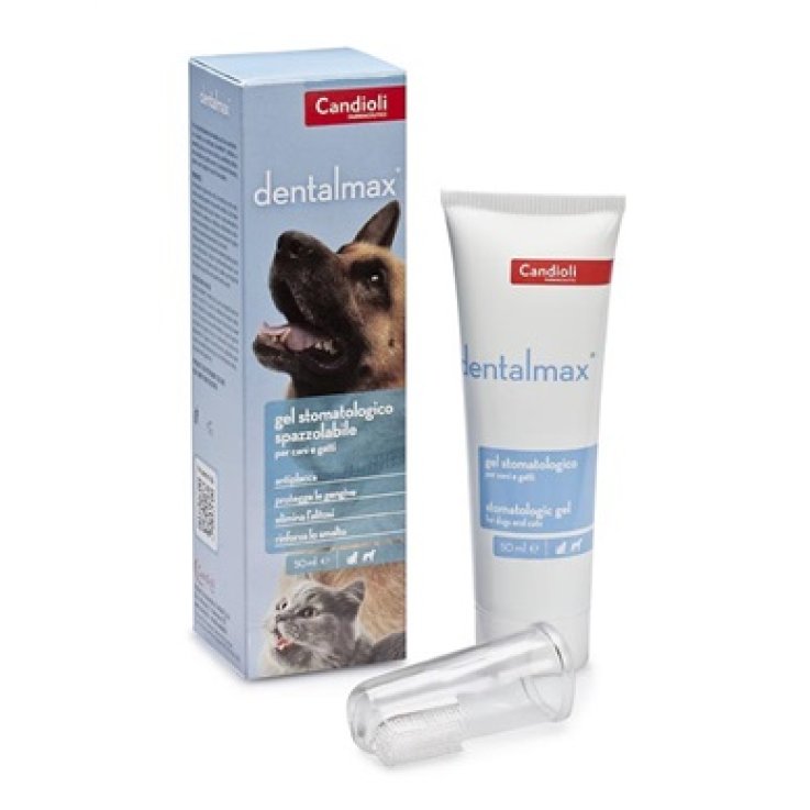 Dentalmax Gel Stomatologico 50