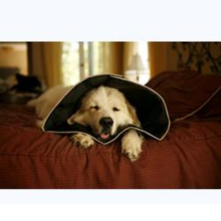 COMFY CONE SMALL 14 CM