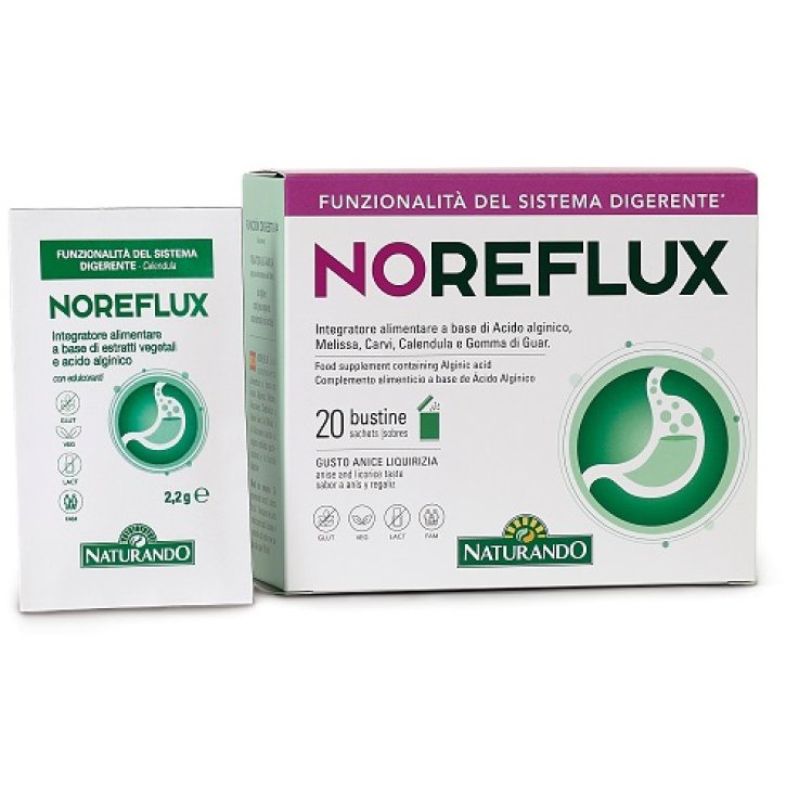 Noreflux 20bust