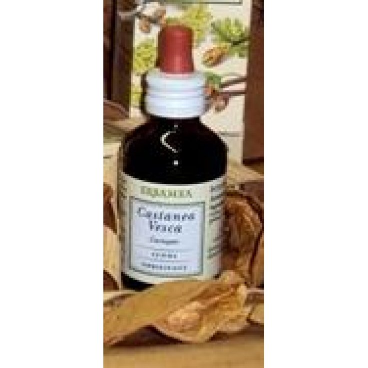 Castanea Vesca Gemme Gd Bio