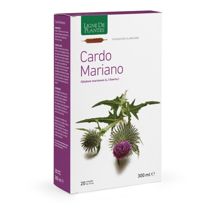 Cardo Mariano 20ampolle