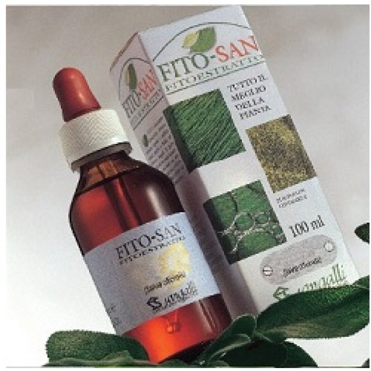 Ribes Nero Tintura Madre 100ml