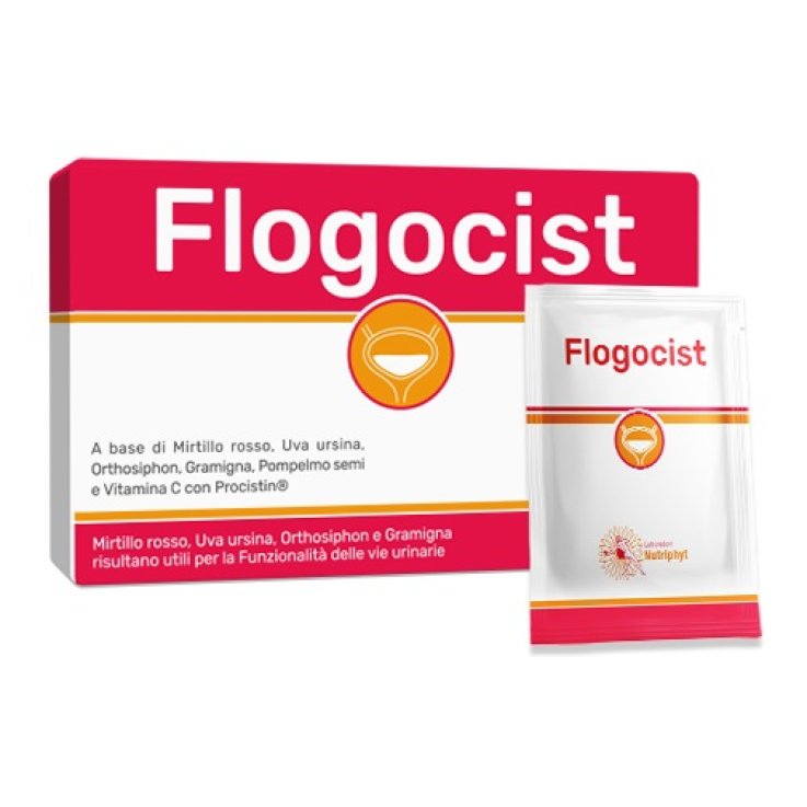 Flogocist 10bust
