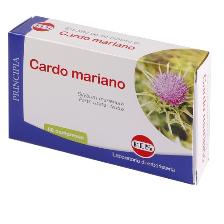 Cardo Mariano Es 60cpr