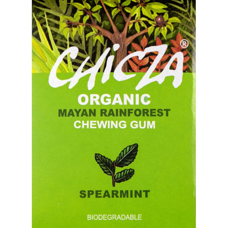 CHICZA CHEW BIOD MENTA VE12GOM