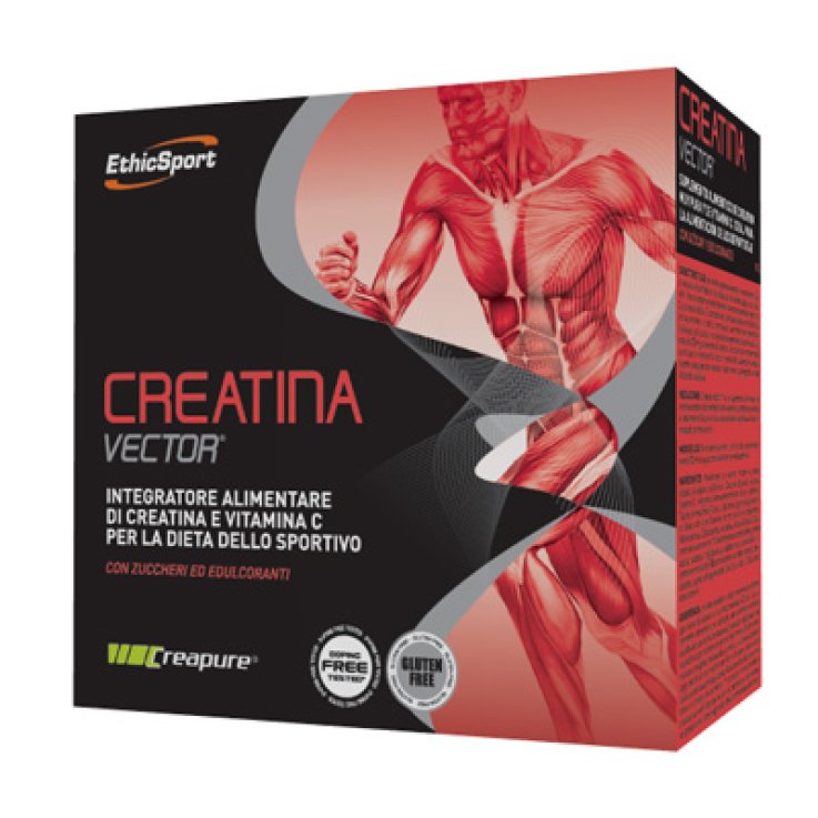 Creatina Vect20bust Etichsport