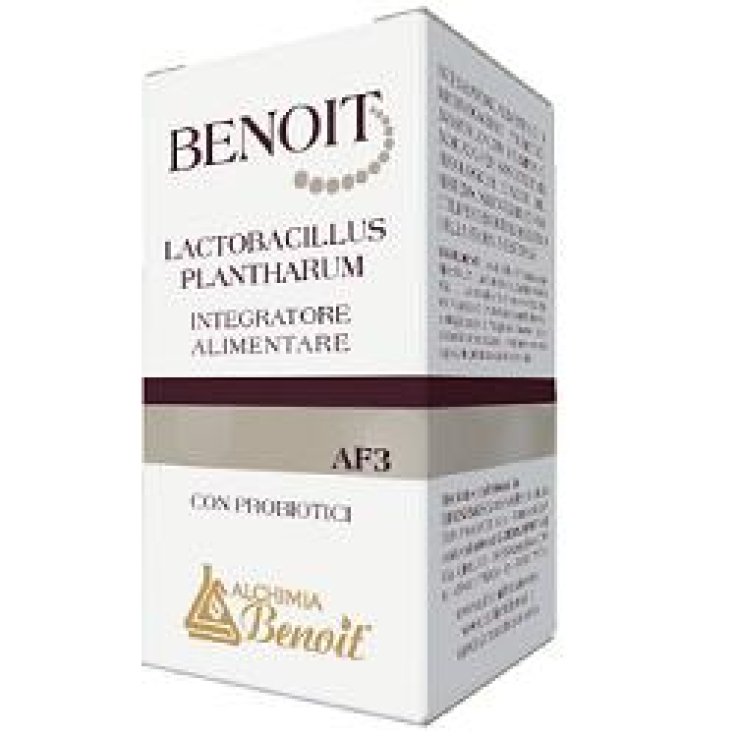 Benoit Lactobacillus Plan30cps