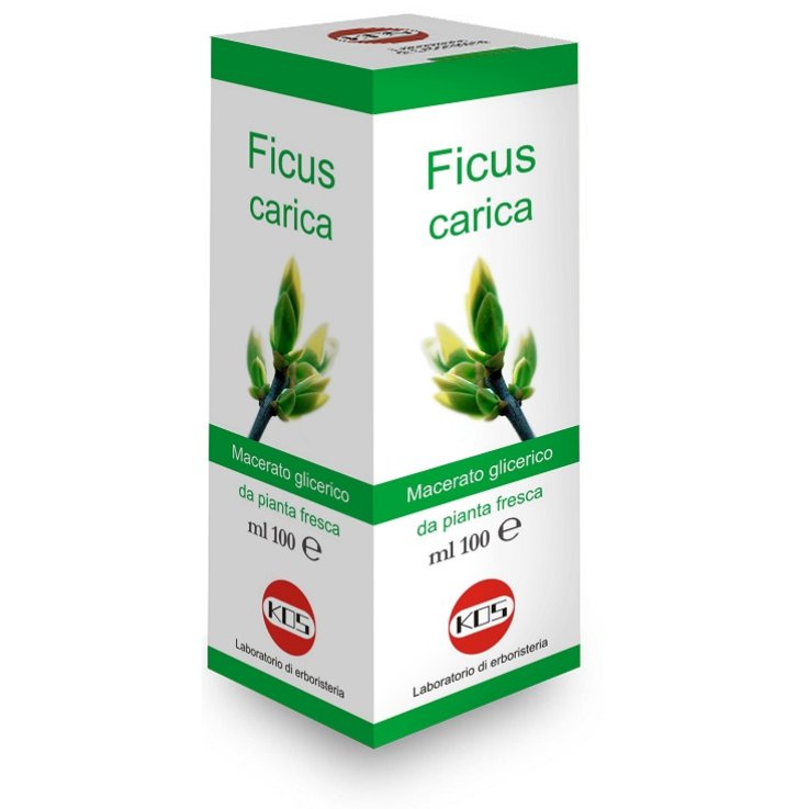 Ficus Carica Mg 100ml