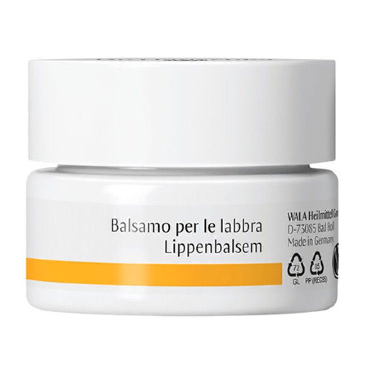 Dr Hauschka Bals Labbra 4,5g