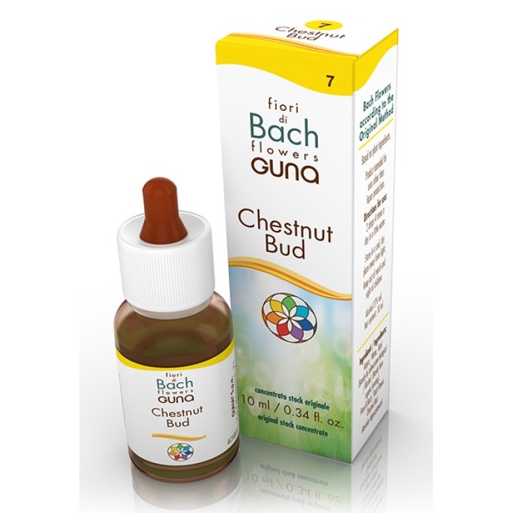 Chestnut Bud Gtt 10ml