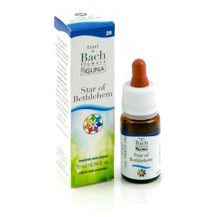 Star Of Beth Gun Gtt 10ml