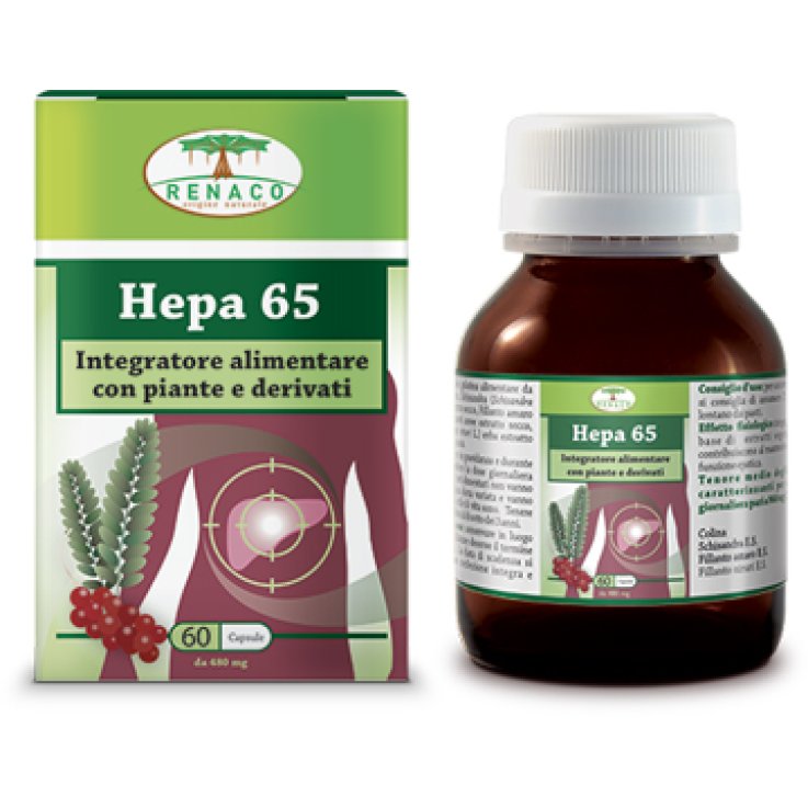 Hepa 65 60cps