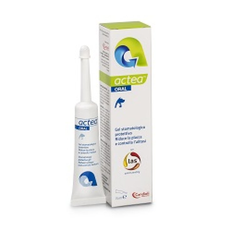 Actea Oral Gel Stomatolog 15ml