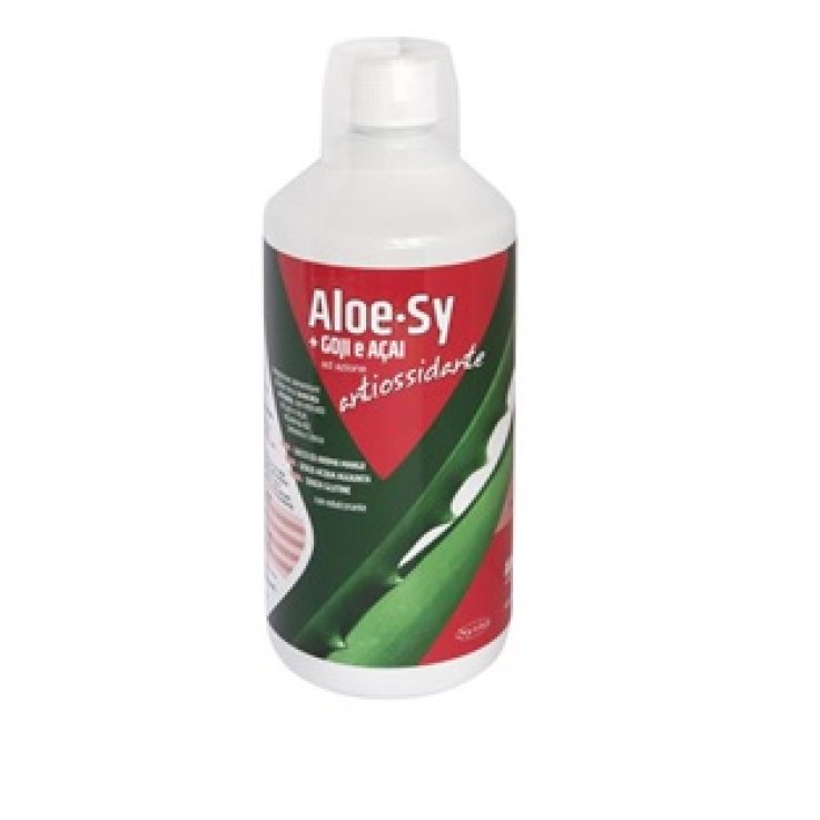Aloe-sy Goji Acai 1lt