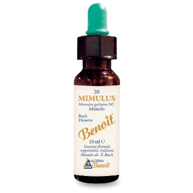 BENOIT FIORI DI BACH MIMULUS