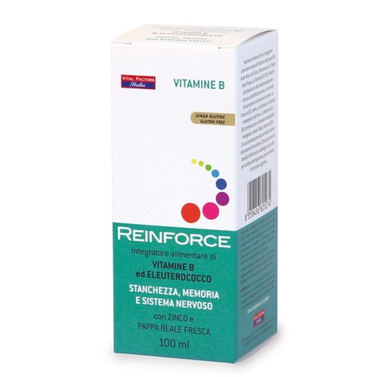 Reinforce Vitamina B 100ml