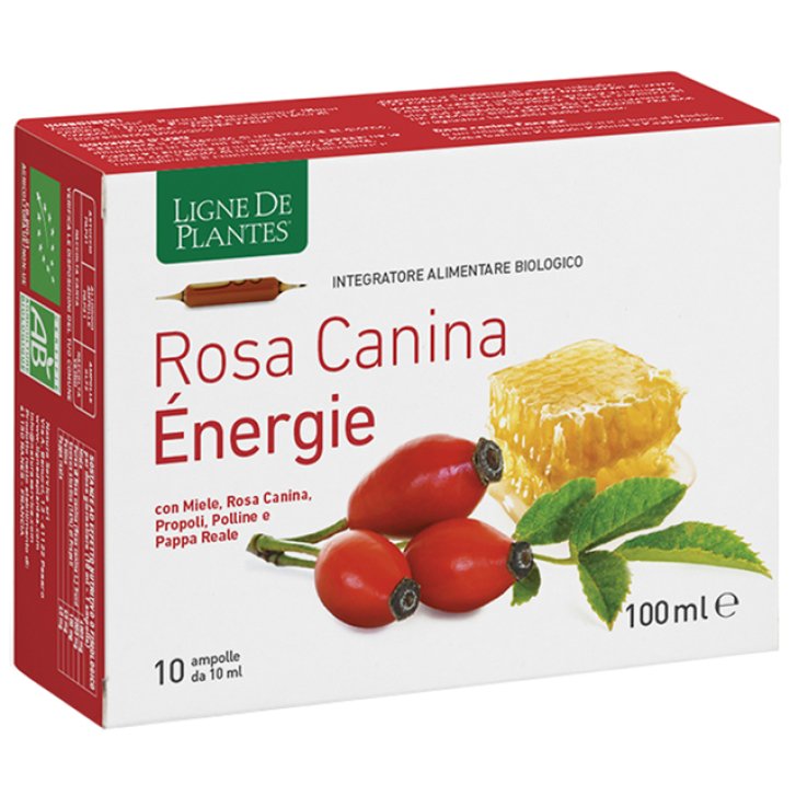 Rosa Canina Energie Bio 10amp