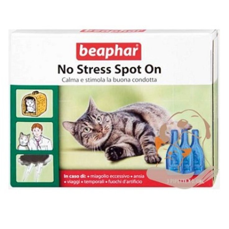 No Stress Spot On Gatto 3pipet