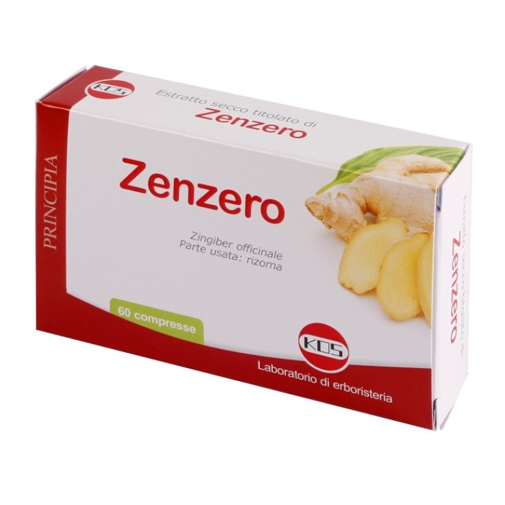 Zenzero Estratto Secco 60cpr