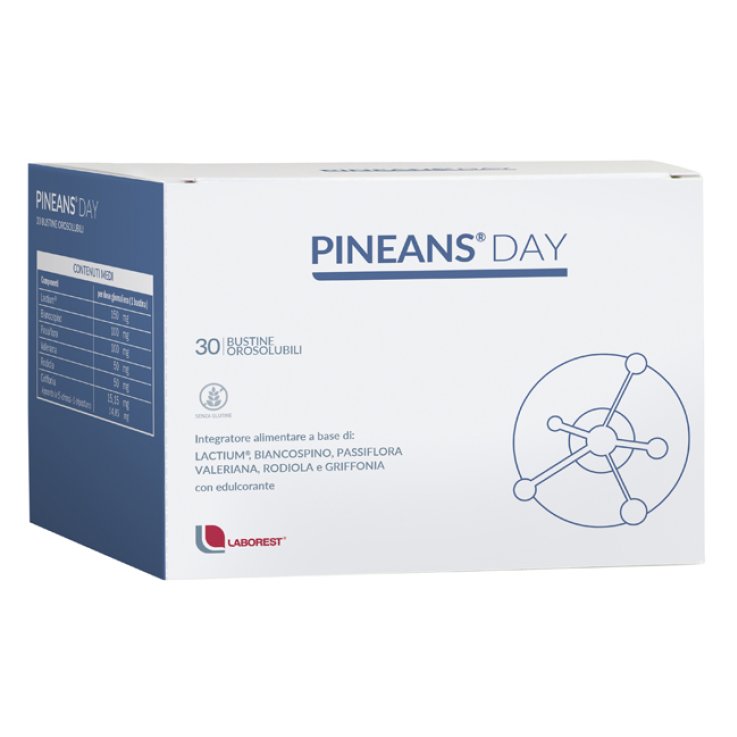 Pineans Day 30bust