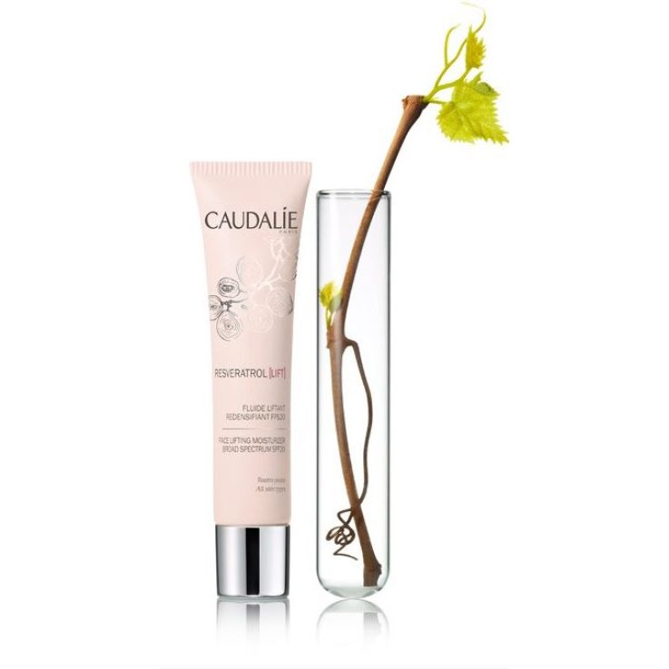 RVLIFT FLUIDO SPF20 40ML 2016
