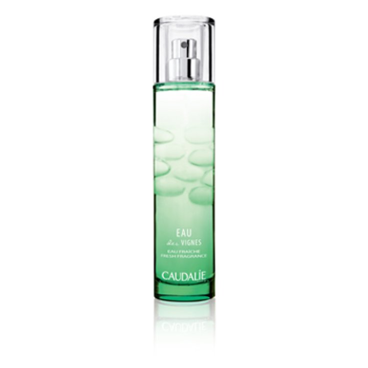 ACQUA FRESCA EAU DES VIGNE50ML