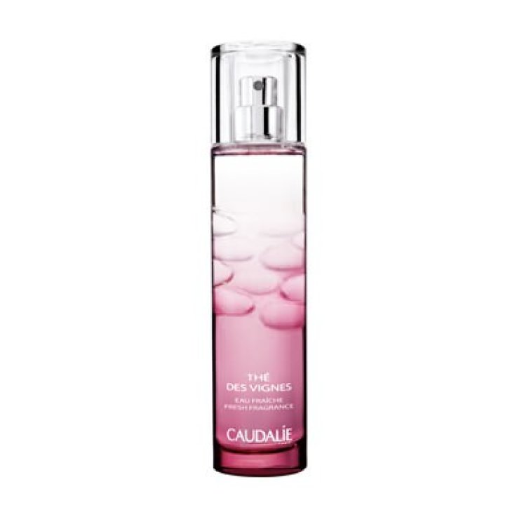 TDV ACQUA FRESCA 100ML