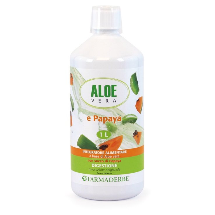 ALOE VERA SUCCO PAPAYA 1000ML